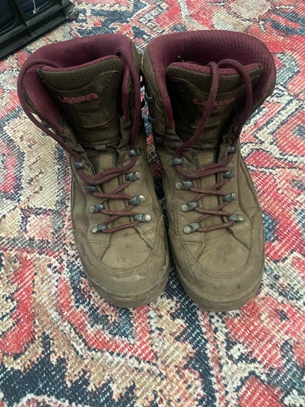 Lowa Renegrade Hiking Boots